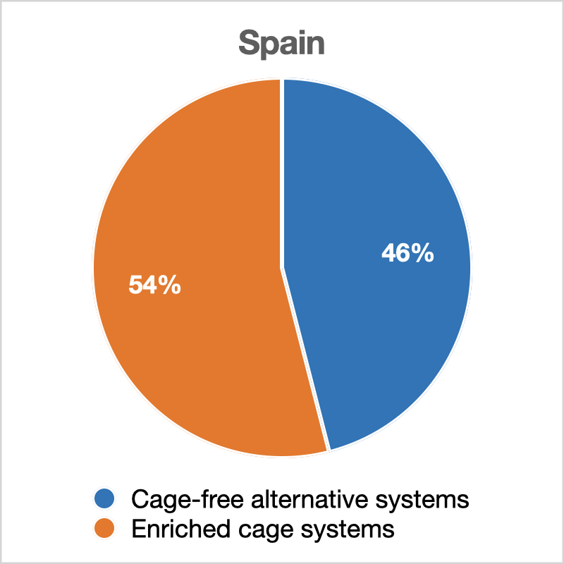 cage free 