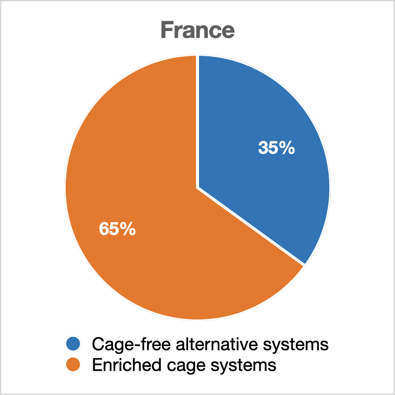 cage free 
