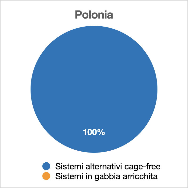 cage free 