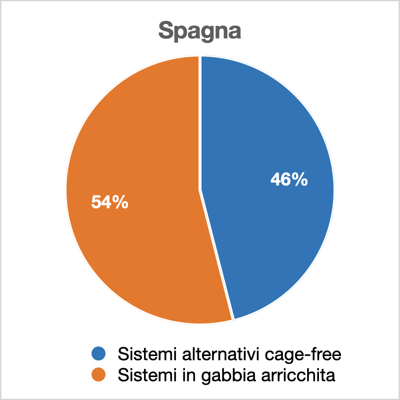 cage free 