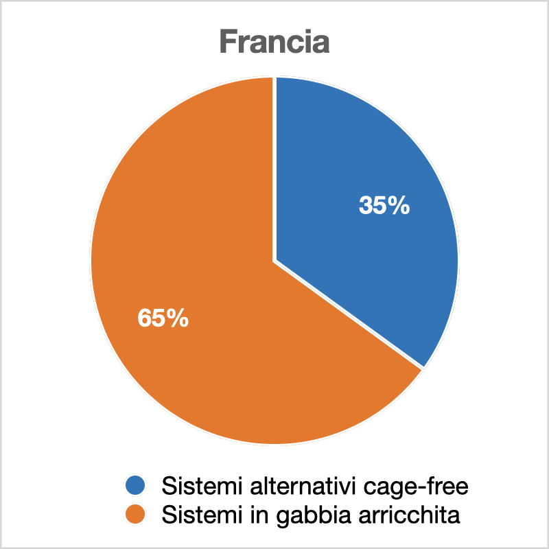 cage free 