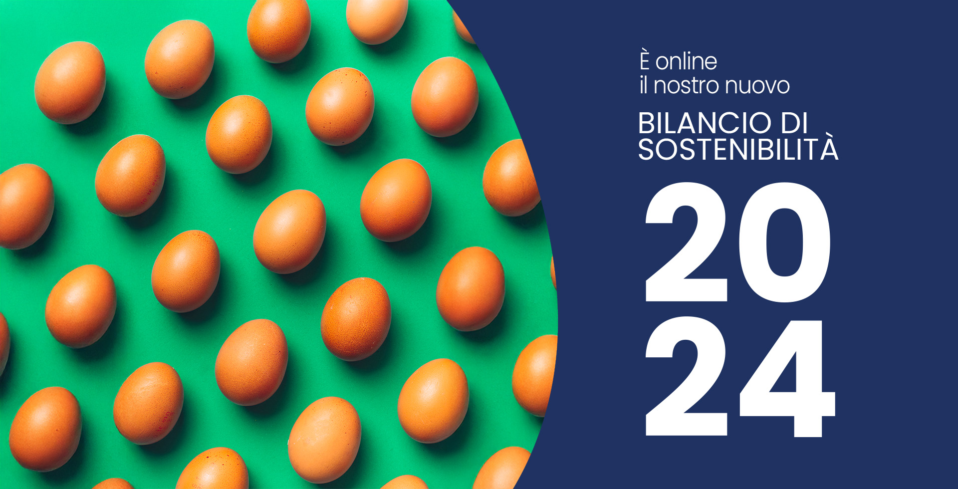 bilancio di sostenibilità